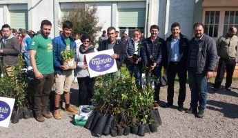 Projeto estimula produção de alimentos orgânicos, na região