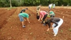 Projeto Quintais celebra quarto ano de parceria com a Efasc
