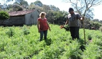 Equipe técnica visita quintal no município de Morro Redondo-RS