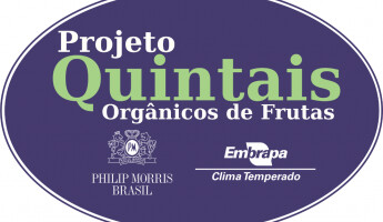 Philip Morris Brasil destaca parceria com Projeto Quintais