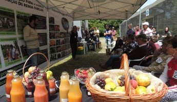 Projeto Quintais participa do XIII Dia de Campo em Agroecologia na Estação Experimental Cascata