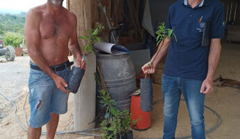 Equipe técnica realiza entrega de mudas de reposição em Santa Catarina e Paraná