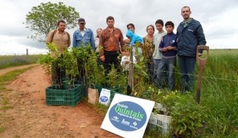 Emater/RS-Ascar leva Quintais Orgânicos de Frutas da Embrapa para assentamentos de Jóia