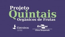 Implantado modelo de quintais orgânico de frutas no Parque da Expoagro