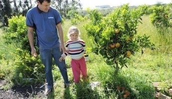 Projeto Quintais amplia participação na Região Sudoeste do Rio Grande do Sul