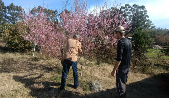 EQUIPE ENCERRA AS PODAS DE INVERNO EM 2023