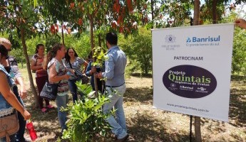 Projeto Quintais participa do XIV Dia de Campo em Agroecologia 