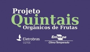 Projeto Quintais Orgânicos de Frutas é avaliado por parceiros