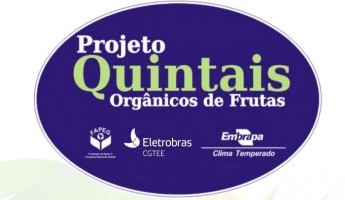 Diretoria da Eletrobras CGTEE aprova a renovação do Projeto Quintais por mais um ano