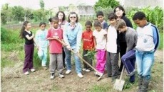 Projeto Quintais Organicos de Frutas e desenvolvido em Cristal-RS