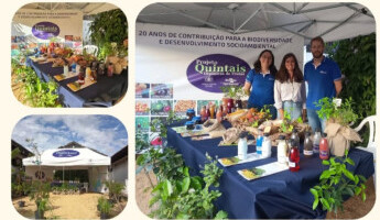 Projeto Quintais participa de 99ª Expofeira de Pelotas