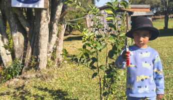 Capacitações, podas e entregas de produtos fitossanitários para tratamento de inverno continuam! 