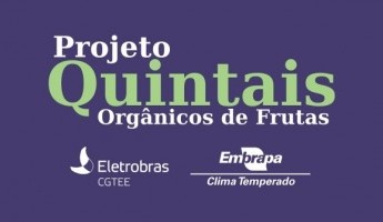 Agricultores familiares de Arambaré-RS receberão “quintais orgânicos”