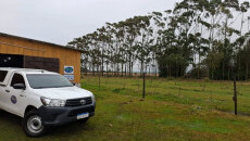 Conclusão das podas e entrega de Novo Quintal