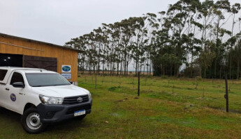Conclusão das podas e entrega de Novo Quintal
