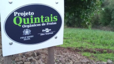 Novos Quintais são entregues em São Pedro do Sul e Jaguarão, RS