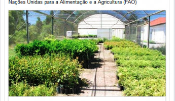 Embrapa tem Projeto selecionado pela FAO.