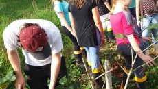 Quintal implantado no IFFar – Campus Santo Augusto produz frutos