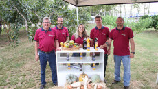 Projeto Quintais é um dos destaques do espaço da Embrapa