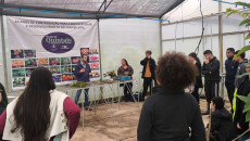 Capacitação de assentados e alunos na construção de viveiros, coleta de sementes e produção de mudas nativas e exóticas