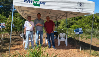  Vitrines de Inovação no Agroecologia 2025! 