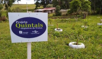 Projeto introduz o primeiro Quintal em Monte Alegre dos Camps