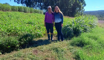 Equipe técnica conclui atividades em Abril