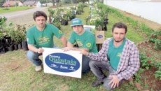 Quintais cultivam benefícios da fruticultura