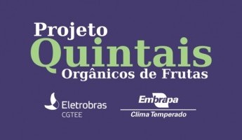 Parceria renovada entre Embrapa e CGTEE com Quintais Orgânicos