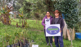 Beneficiários recebem mudas e sementes na região de Pelotas