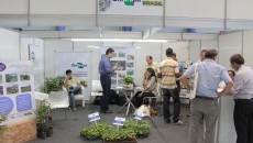 Projeto Quintais participa do VIII Congresso Brasileiro de Agroecologia