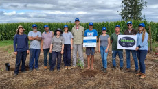 Quintal Orgânico de Frutas Impulsiona a Recuperação Pós-Enchente em Estrela, no Rio Grande do Sul 