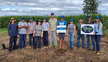 Quintal Orgânico de Frutas Impulsiona a Recuperação Pós-Enchente em Estrela, no Rio Grande do Sul 