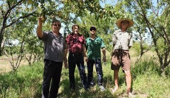 Projeto Quintais recebe visita do Chefe da Embrapa Roraima