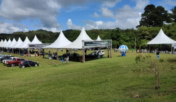 Projeto Quintais participa do XVII Dia de Campo sobre Agroecologia e Produção Orgânica da EEC