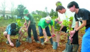 Projeto da Embrapa garante os benefícios da fruticultura