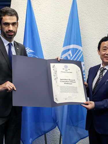 FAO Champion Award