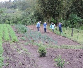 Visita técnica ao quintal orgânico dos agricultores Gilson Schwanz e sua esposa Márcia Schwanz, em Morro Redondo - RS.