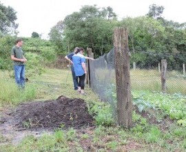 Visita técnica ao quintal orgânico da Escola Municipal de Ensino Fundamental Garibaldi, no 8º Distrito de Pelotas. 