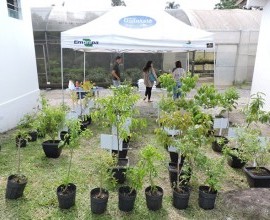 Apresentação do Projeto Quintais - Prêmio FINEP na Estação Experimental Cascata. 