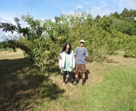 Visita técnica ao quintal orgânico do agricultor familiar Eldo Hellwing, no 5º Distrito de Pelotas. 