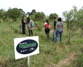 Visita ao primeiro quintal orgânico implantado pelo Projeto Quintais na Estação Experimental Cascata. 