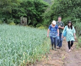 Visita técnica ao quintal orgânico dos agricultores Gilson Schwanz e sua esposa Márcia Schwanz, em Morro Redondo - RS.