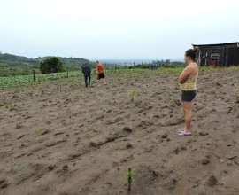 Visita técnica ao quintal orgânico da quilombola Inajara Flores da Silva Maass, no 5º Distrito de Canguçu, Comunidade Armada.