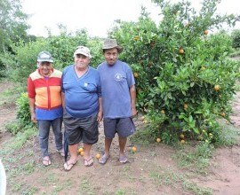 Visita técnica ao quintal orgânico do quilombola Roberto de Matos, no 5º Distrito de Canguçu, Comunidade Cerro das Velhas.