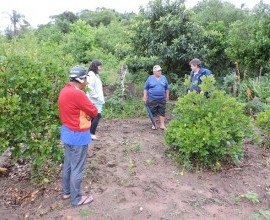 Visita técnica ao quintal orgânico do quilombola Roberto de Matos, no 5º Distrito de Canguçu, Comunidade Cerro das Velhas.