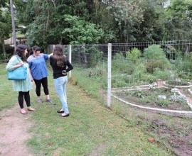 Visita técnica ao quintal orgânico da Escola Municipal de Ensino Fundamental Garibaldi, no 8º Distrito de Pelotas. 