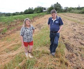 Visita técnica ao quintal orgânico da agricultora familiar Lueci Oliveira, em Morro Redondo - RS.