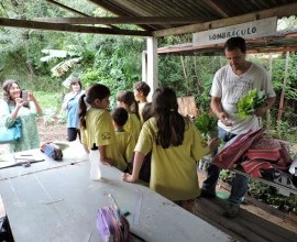 Visita técnica ao quintal orgânico da Escola Municipal de Ensino Fundamental Garibaldi, no 8º Distrito de Pelotas. 