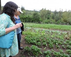 Visita técnica ao quintal orgânico dos agricultores Gilson Schwanz e sua esposa Márcia Schwanz, em Morro Redondo - RS.
